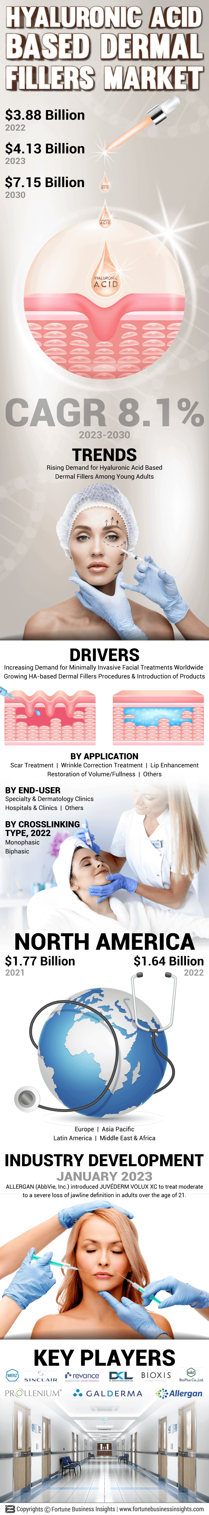 Hyaluronic Acid Based Dermal Fillers Market