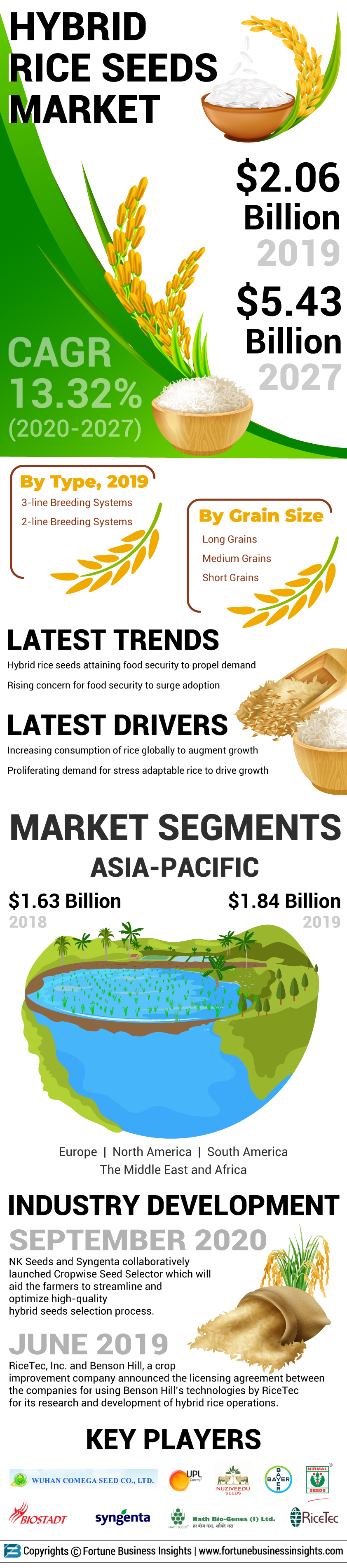 Hybrid Rice Seeds Market