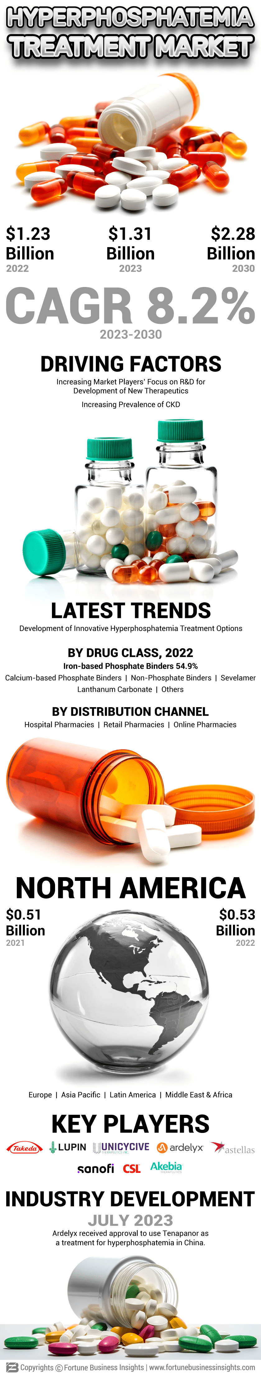 Hyperphosphatemia Therapeutics Market