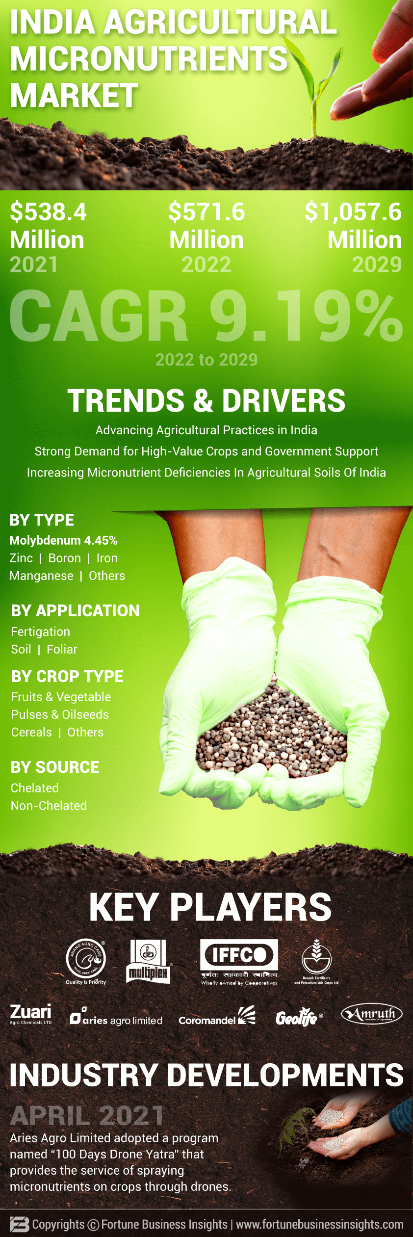 India Agricultural Micronutrients Market