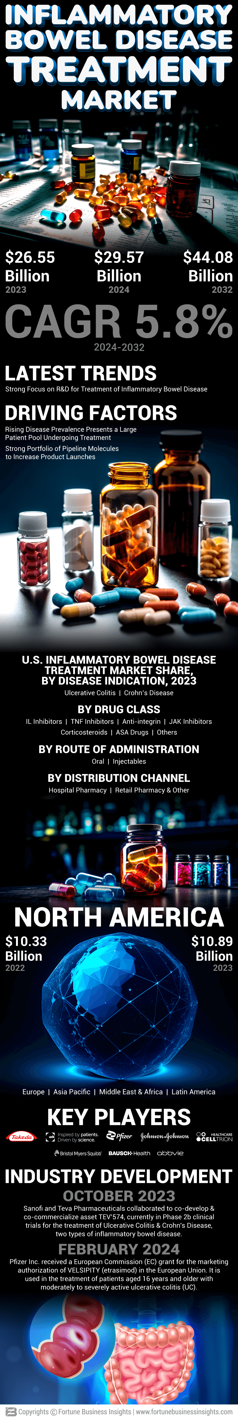 Inflammatory Bowel Disease Treatment Market 