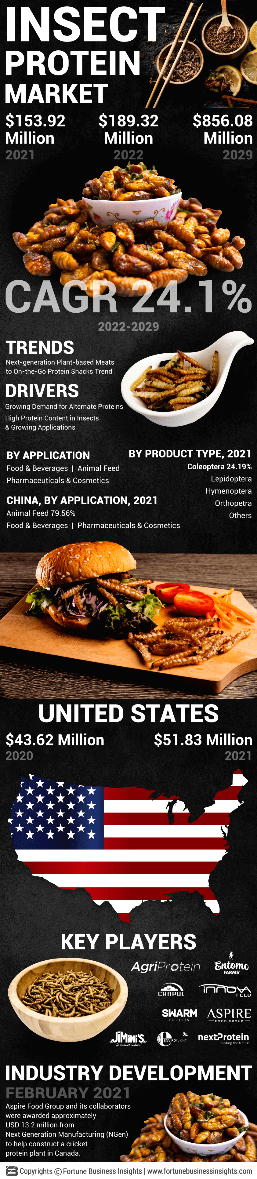 Insect-based Protein Market