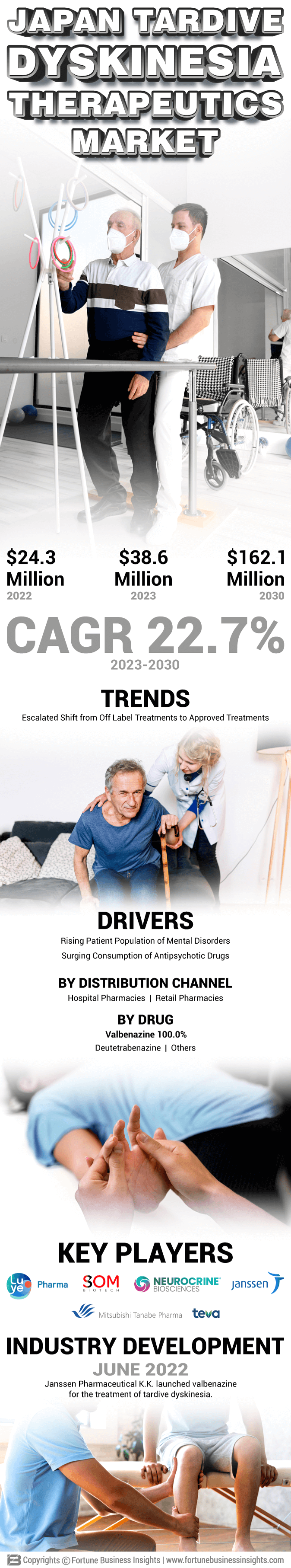 Japan Tardive Dyskinesia Therapeutics Market