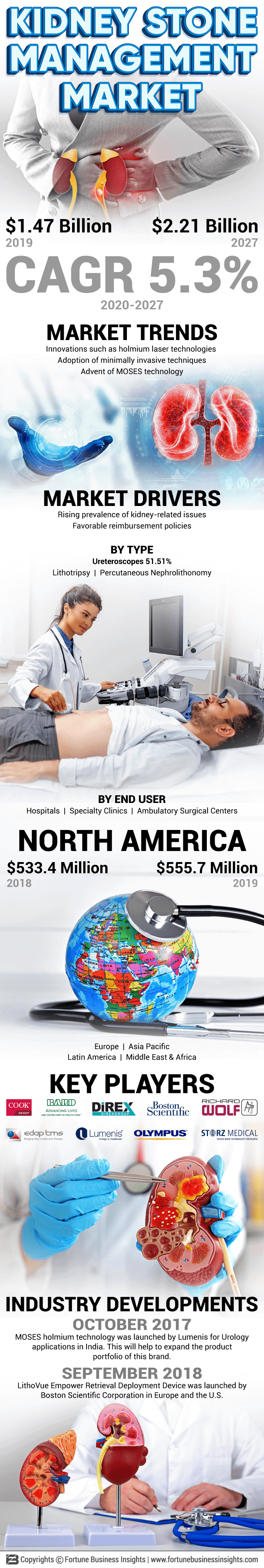 Kidney Stone Management Devices Market