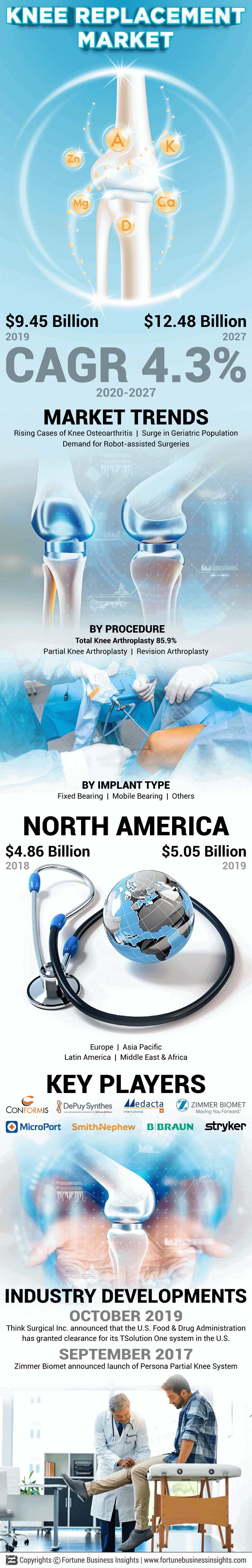 Knee Replacement Implants Market