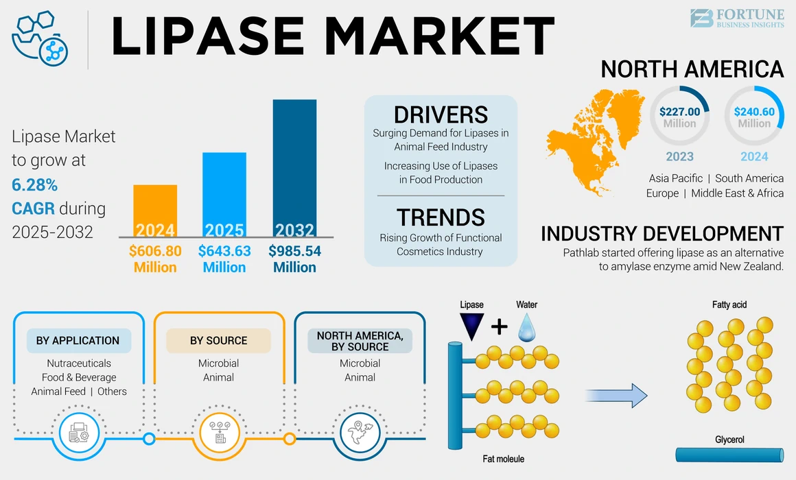 Lipase Market