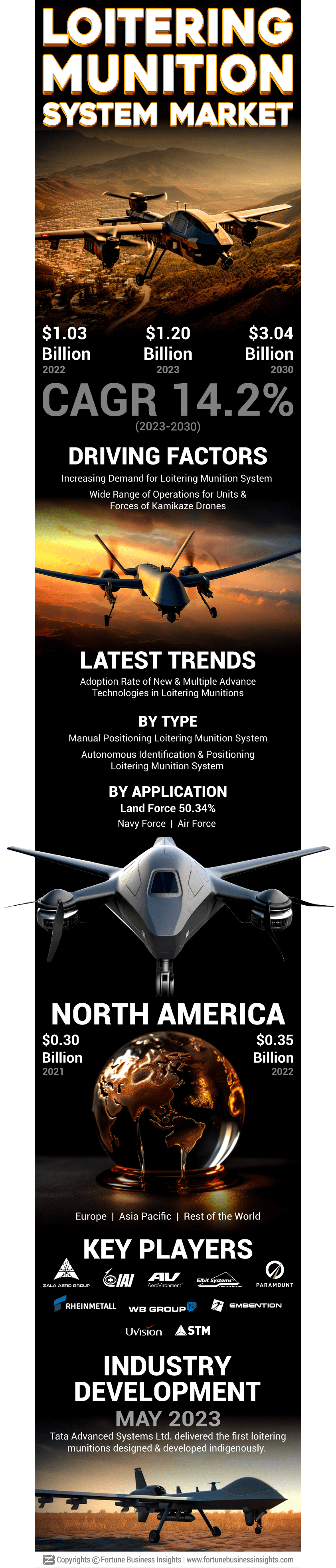 Loitering Munition System Market