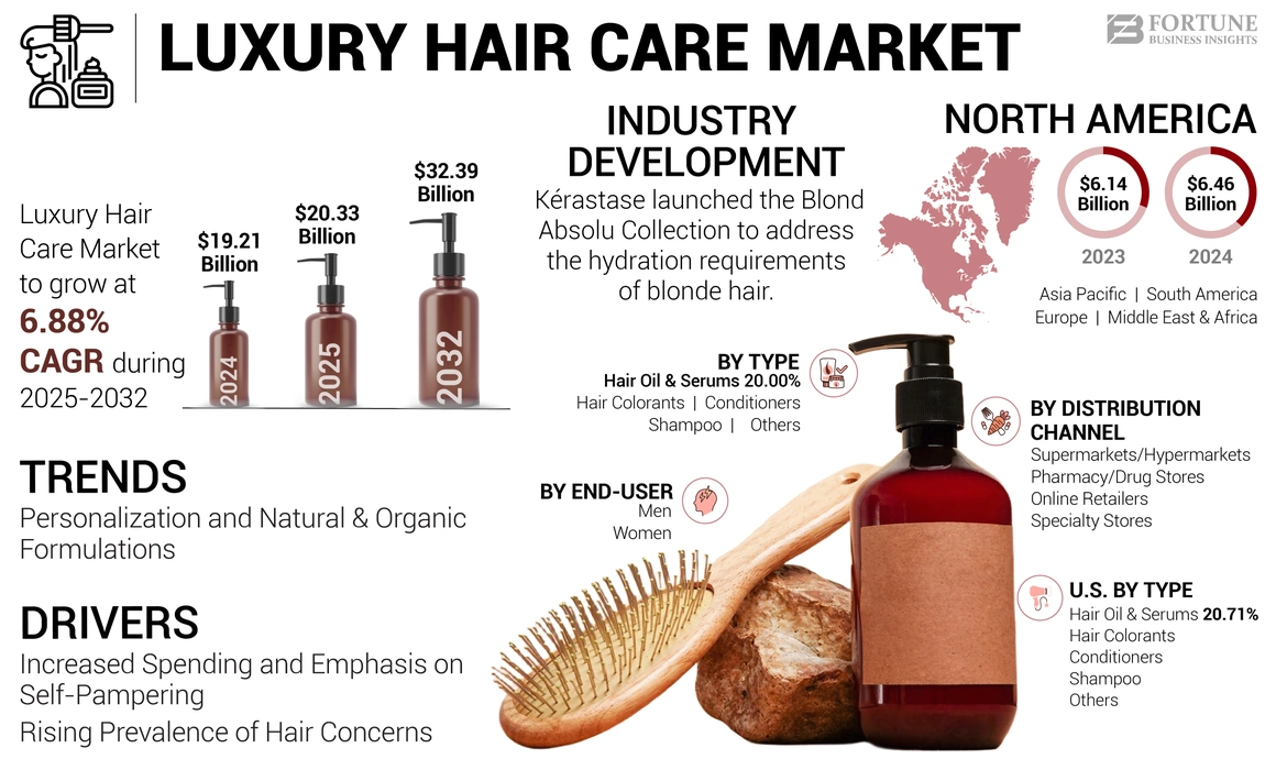 Infographics Luxury Hair Care Market Fortune Business Insights