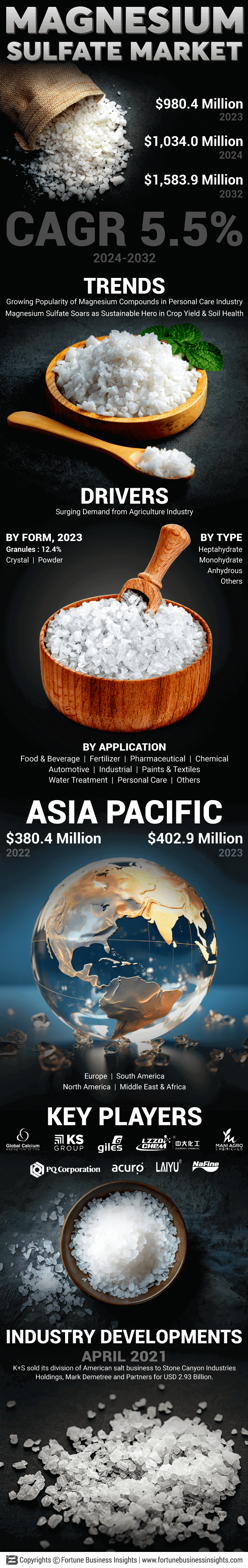 Magnesium Sulphate Market