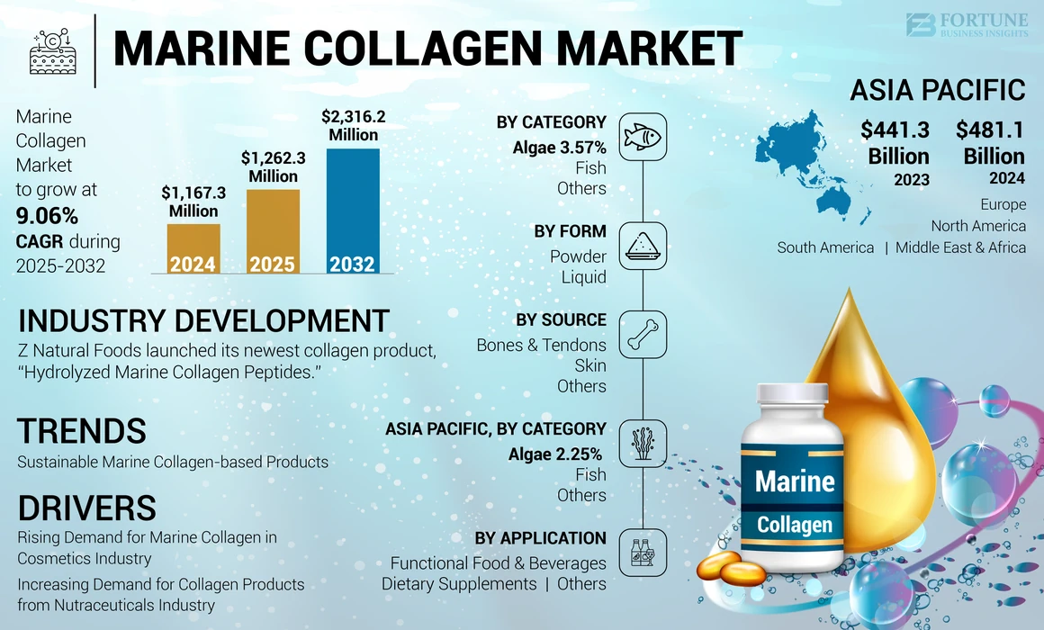 Marine Collagen Market