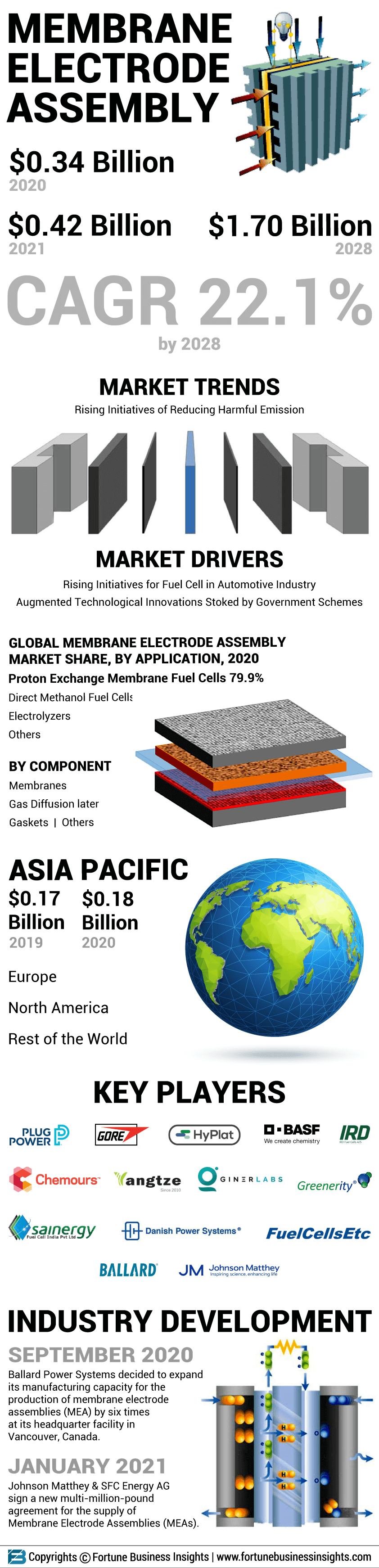 Membrane Electrode Assemblies MEA Market