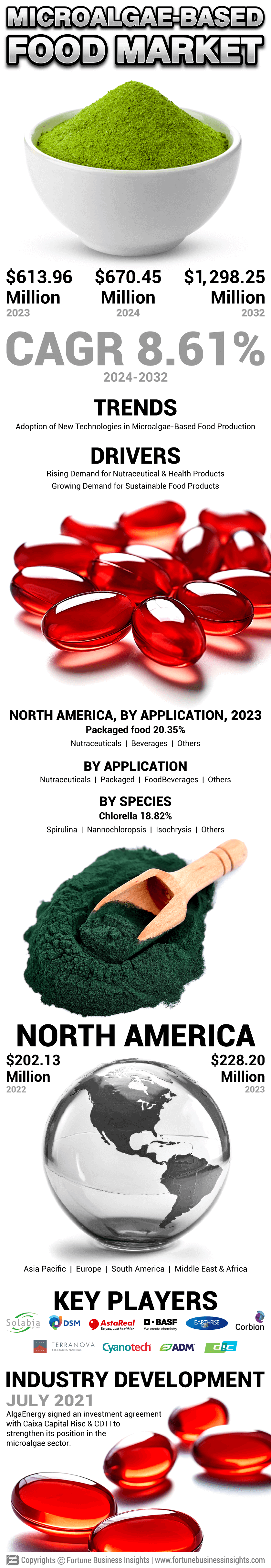 Microalgae Food Market