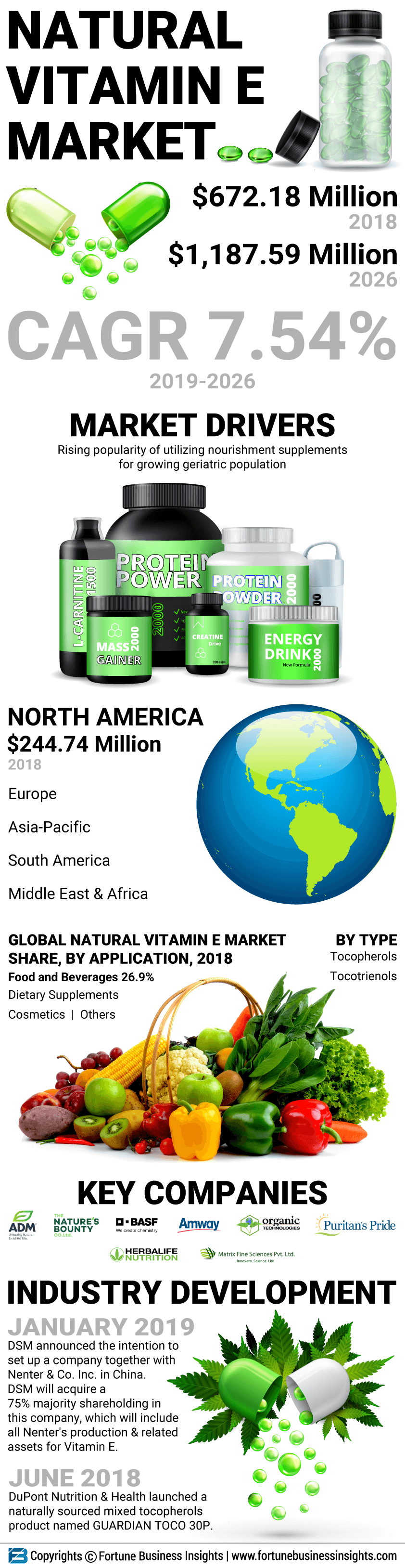 Natural Vitamin E Market