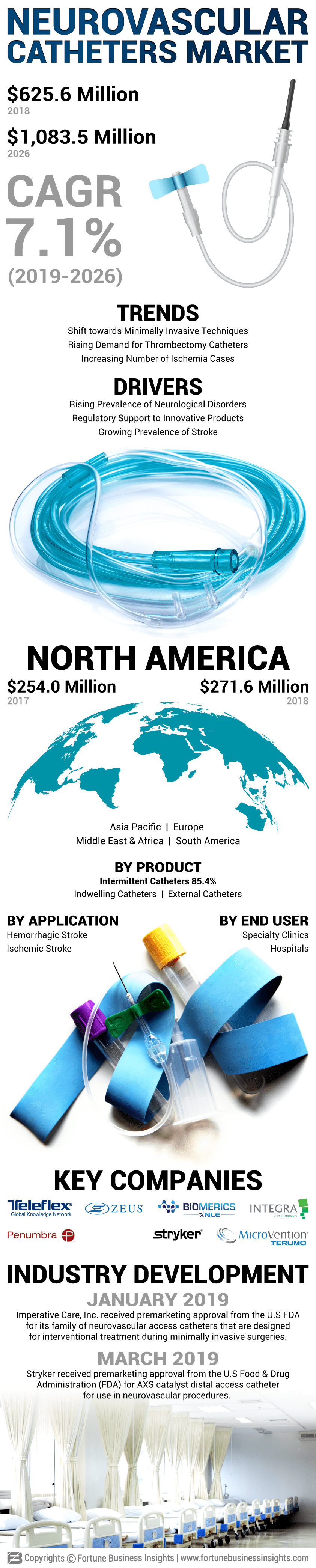 Neurovascular Catheters Market