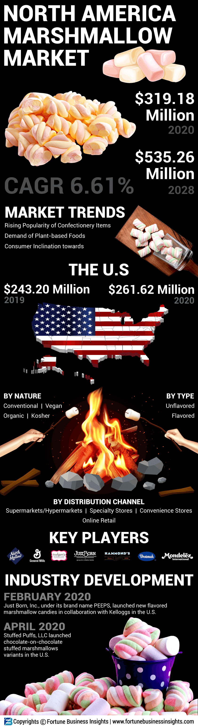 North America Marshmallow Market