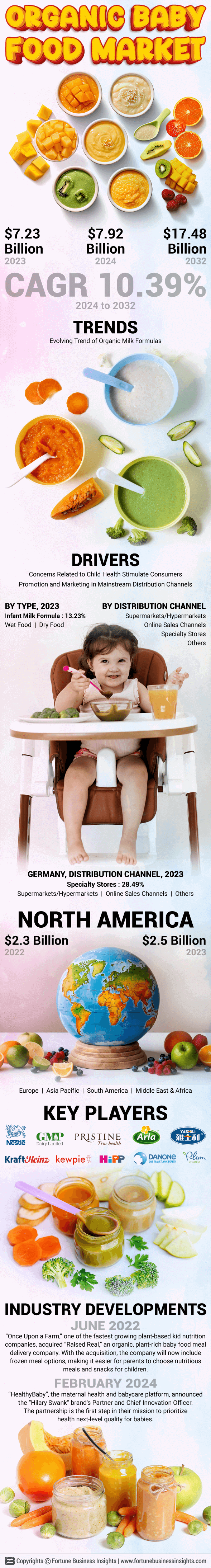 Organic Baby Food Market