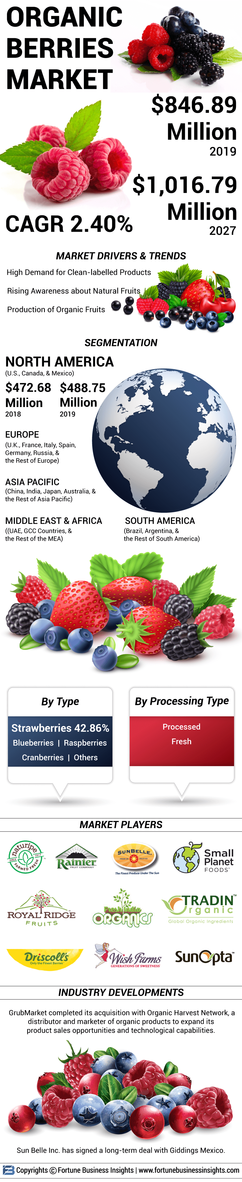 Organic Berries Market 