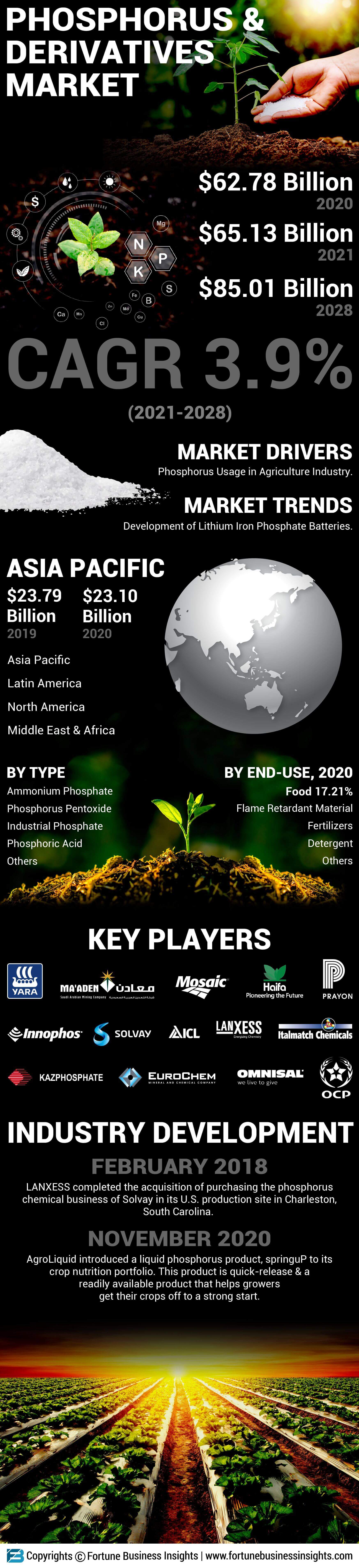 Phosphorus and Derivatives Market