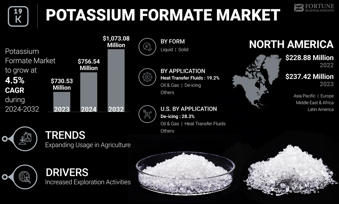 Potassium Formate Market