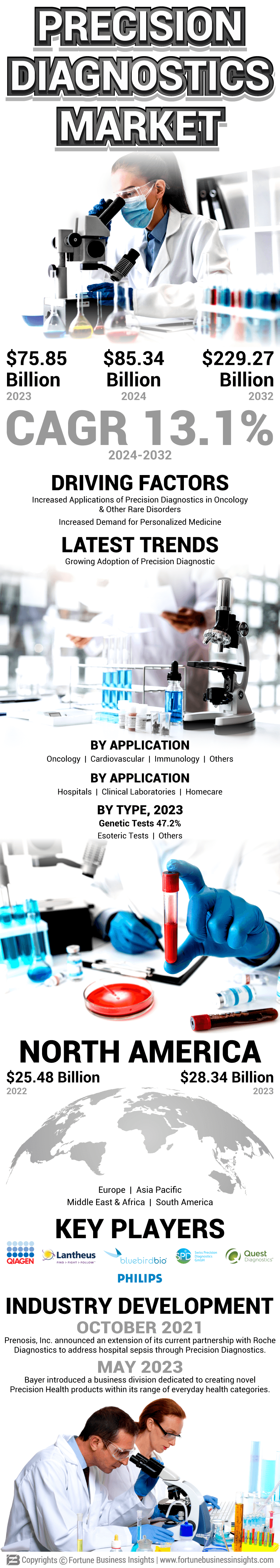 Precision Diagnostics Market