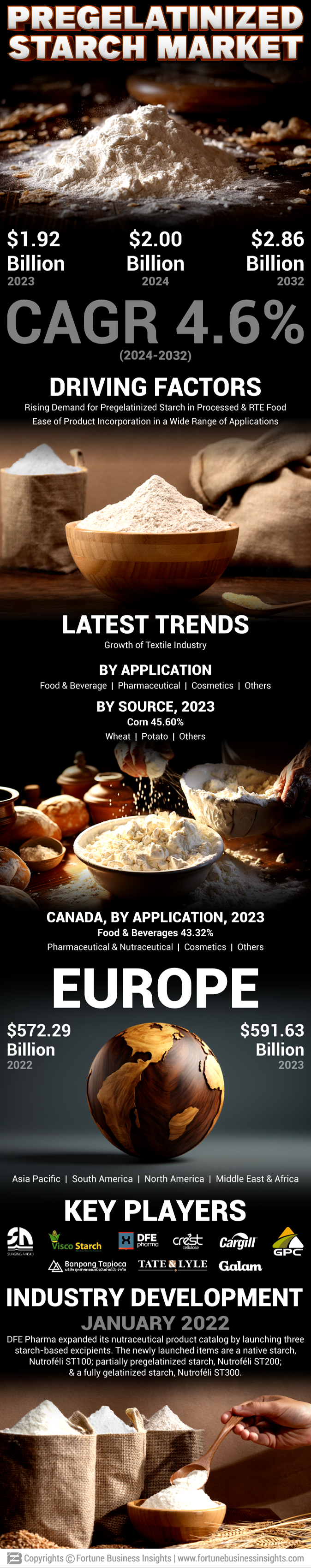 Pregelatinized Starch Market