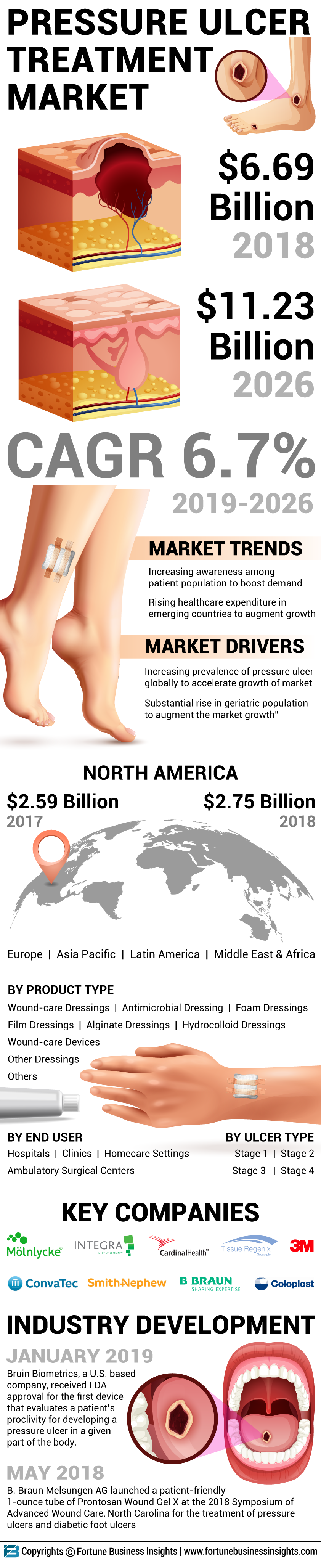 Pressure Ulcer Treatment Market