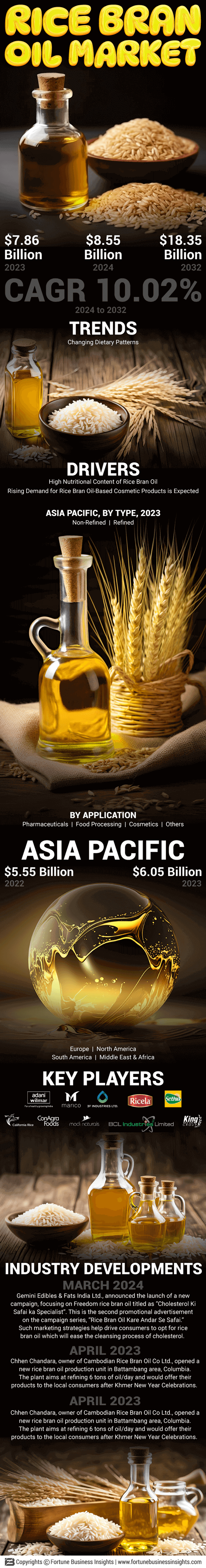 Rice Bran Oil Market