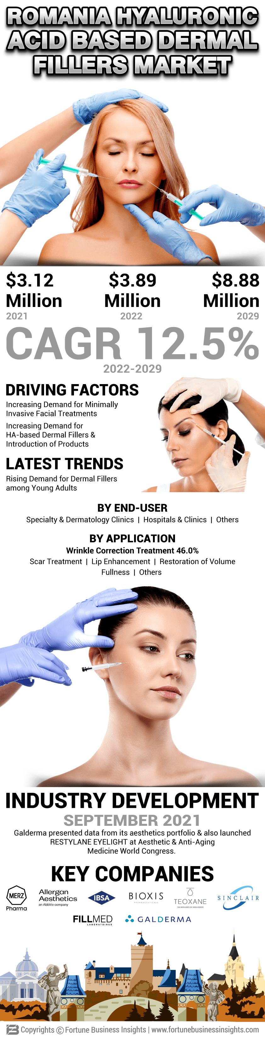 Romania Hyaluronic Acid Based Dermal Fillers Market 