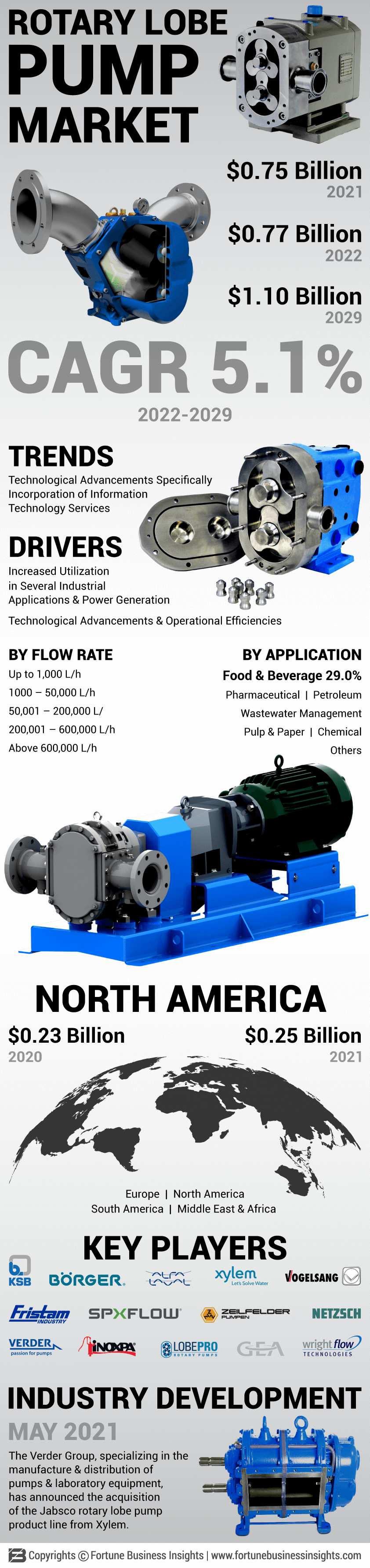 Rotary Lobe Pump Market
