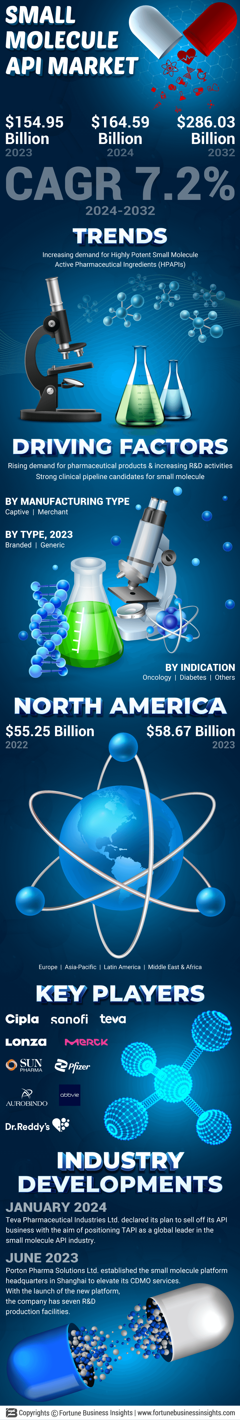 Small Molecule API Market