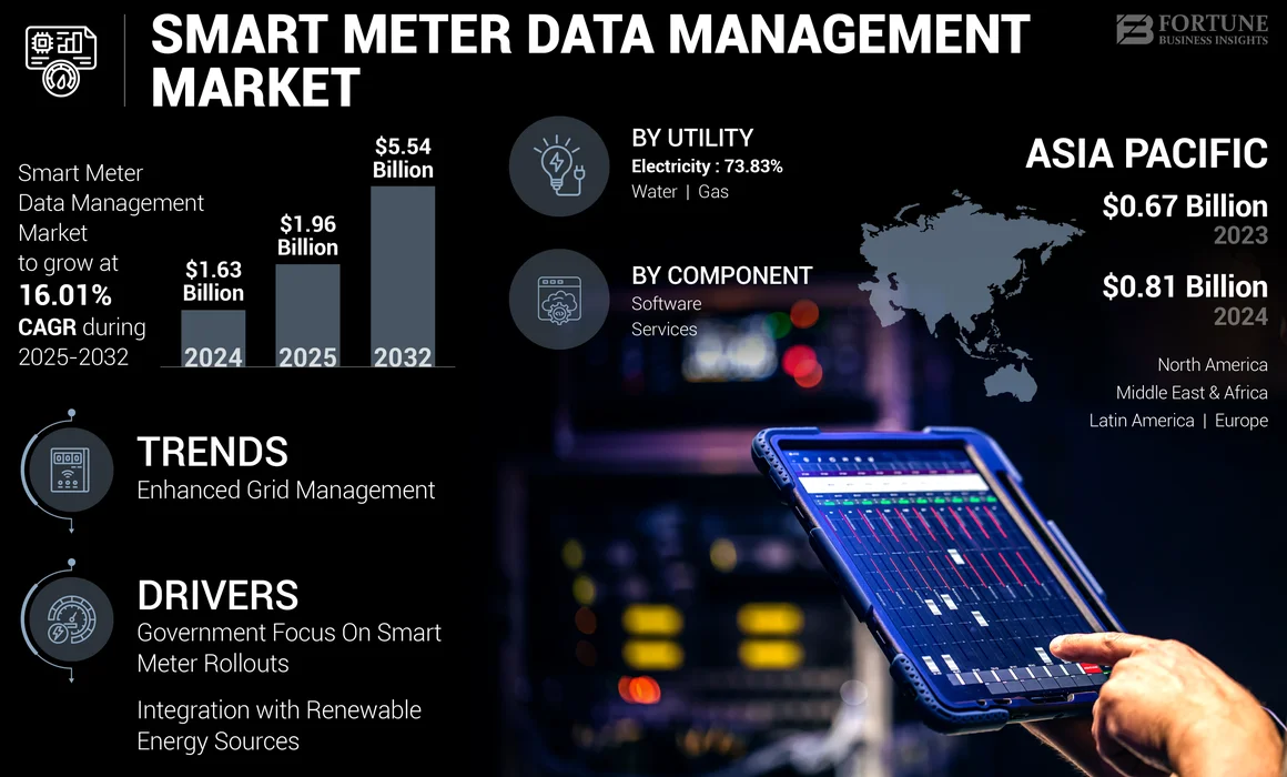 Smart Meter Data Management Market