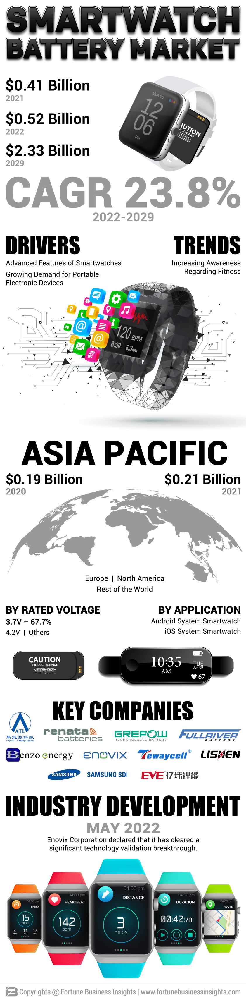 Smartwatch Battery Market