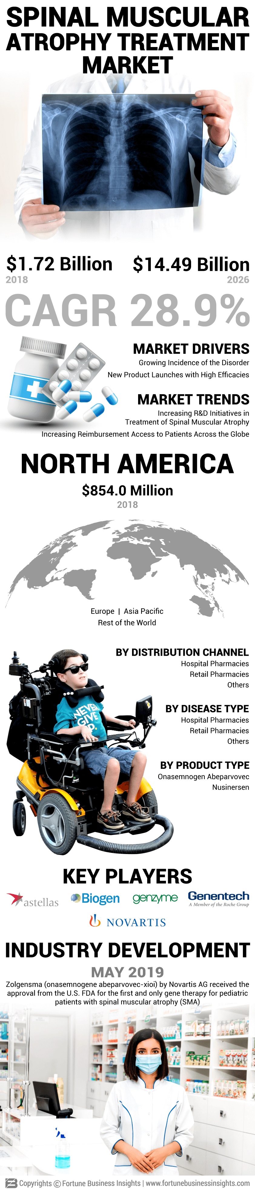 Spinal Muscular Atrophy Treatment Market