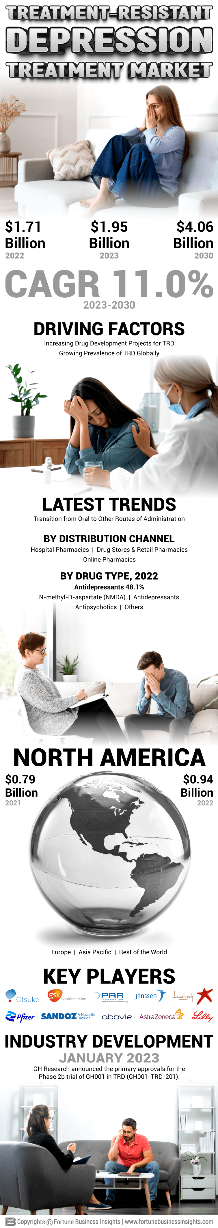 Treatment-Resistant Depression Treatment  Market 