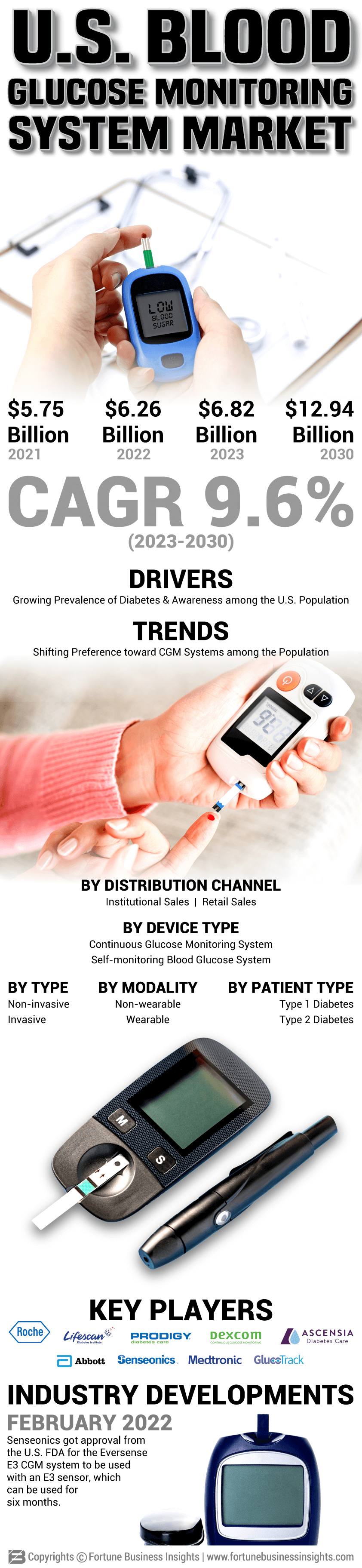 U.S. Blood Glucose Monitoring System Market