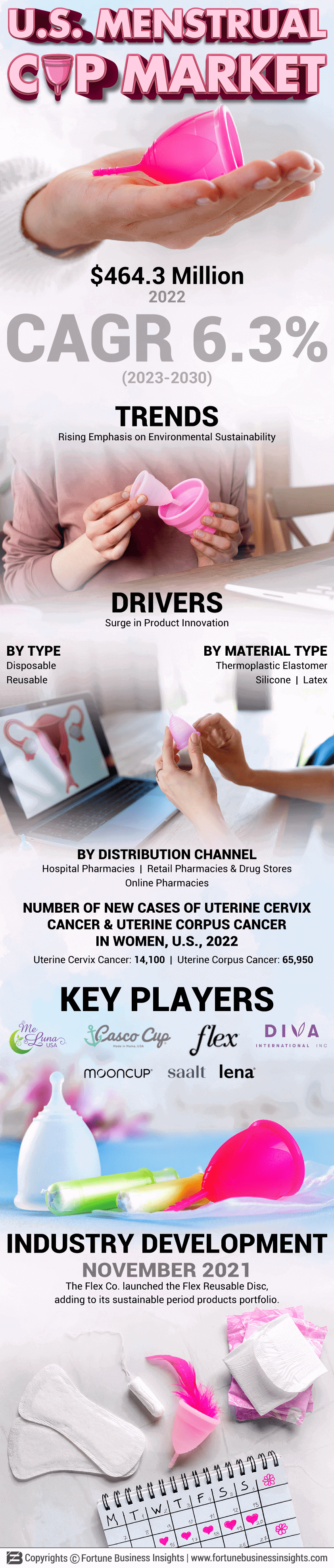 U.S. Menstrual Cup Market