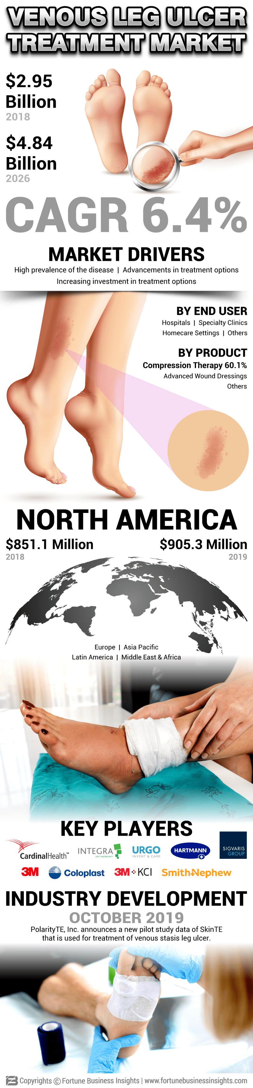 Venous Leg Ulcer (VLU) Treatment Market